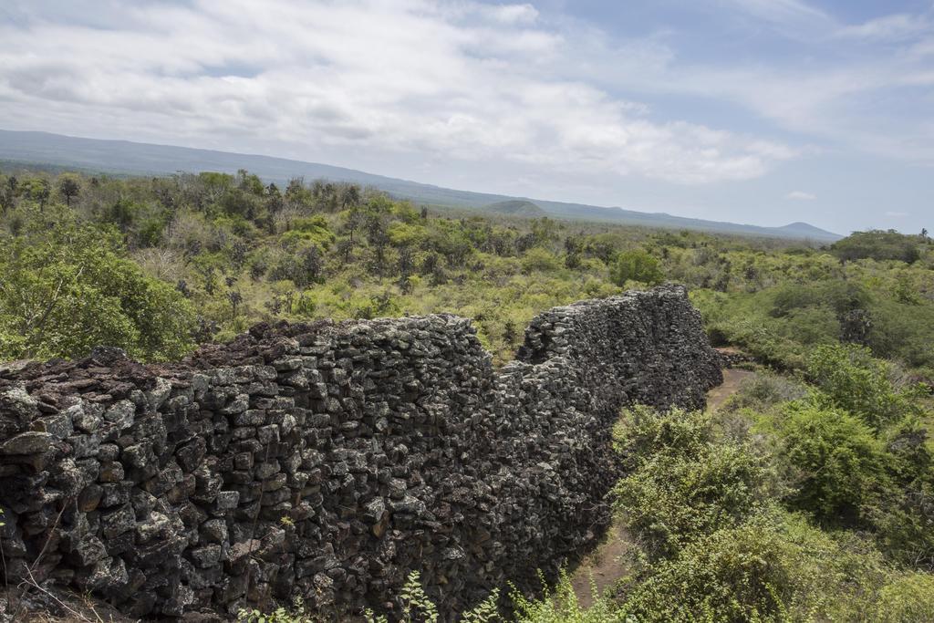 Paraiso De Isabela Пуэрто-Вильямиль Экстерьер фото