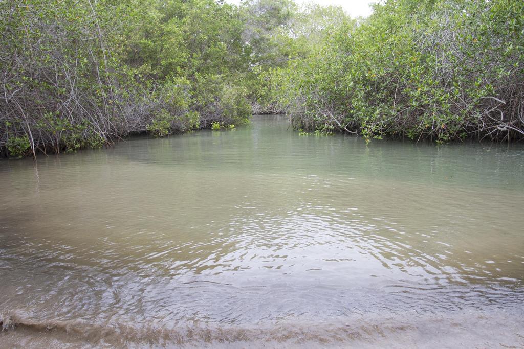 Paraiso De Isabela Пуэрто-Вильямиль Экстерьер фото