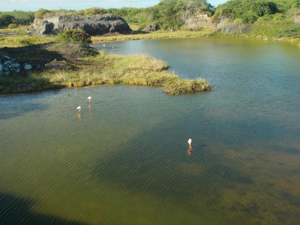 Paraiso De Isabela Пуэрто-Вильямиль Экстерьер фото